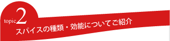 スパイスの種類・効能についてご紹介